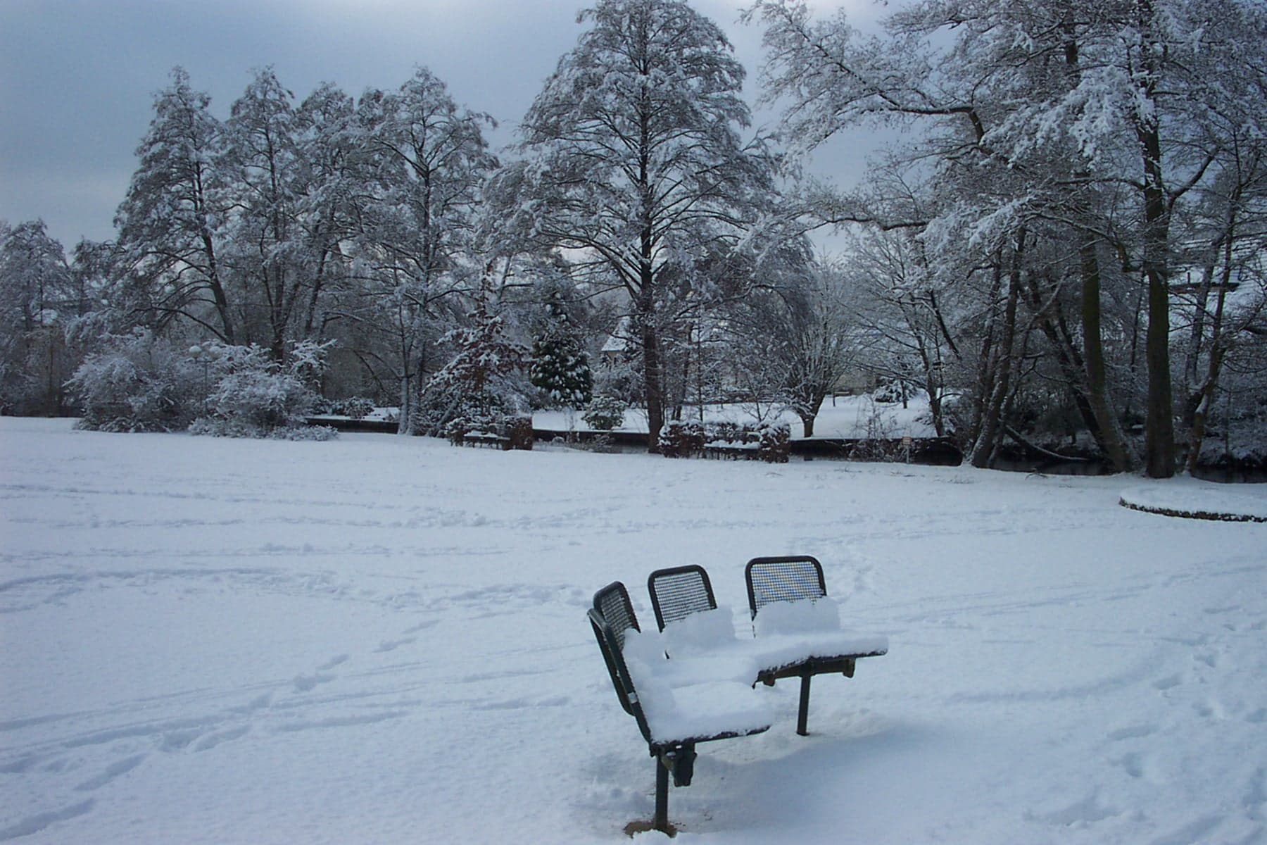 Ferienwohnung Kurparkblick, Wohnung "Sorgenfrei"***