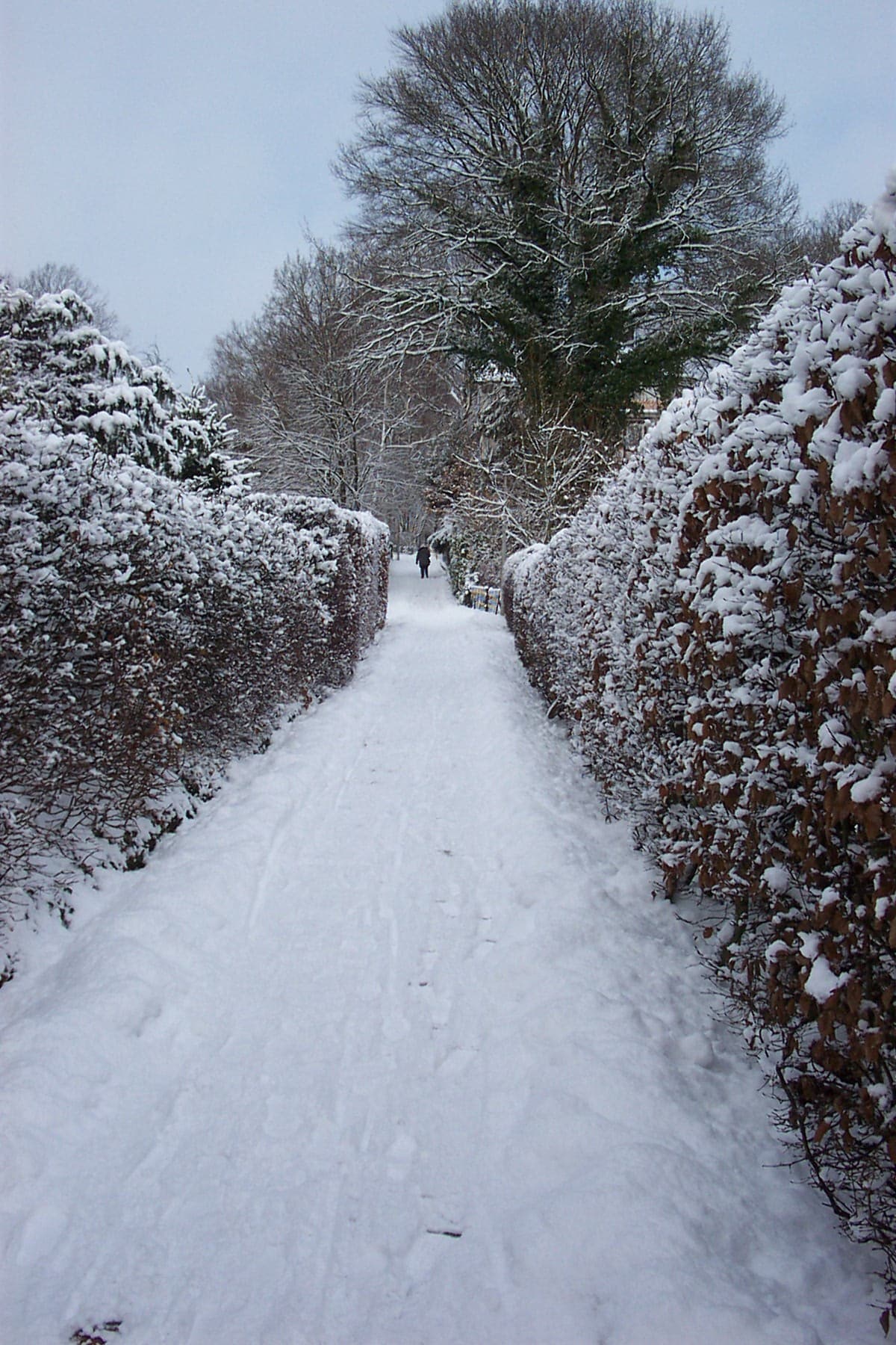 Ferienwohnung Kurparkblick, Wohnung "Sorgenfrei"***
