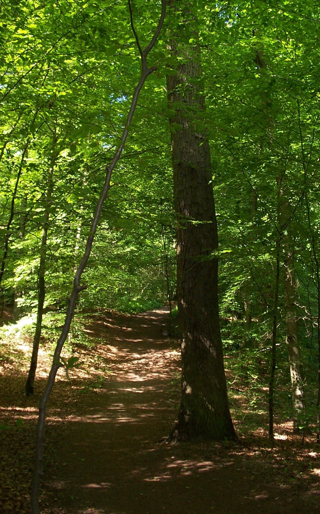 Ferienwohnung Kurparkblick, Wohnung "Sorgenfrei"***