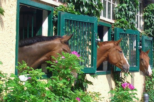 Gästehaus Schloss Bothmer
