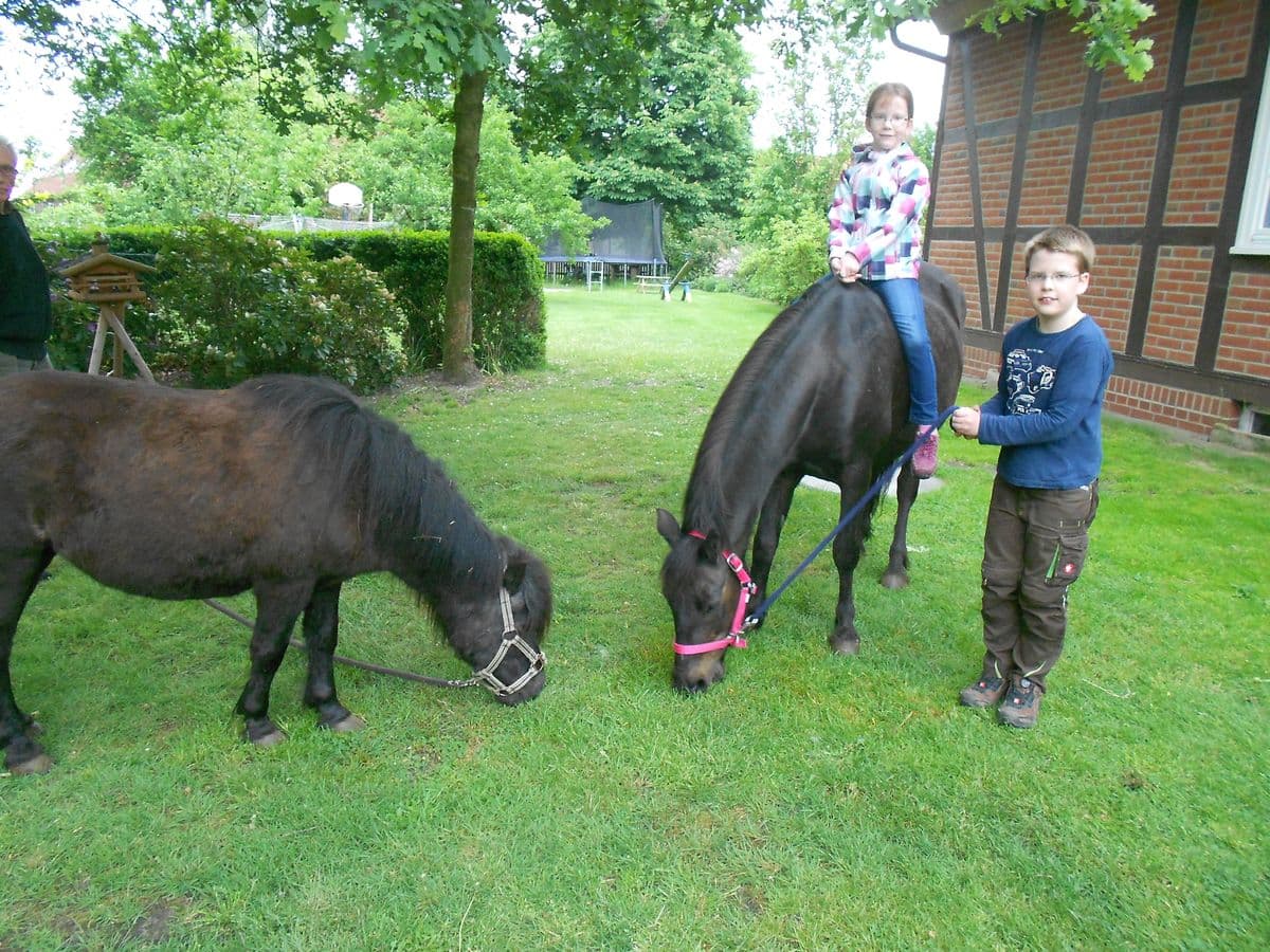 Ponyreiten auf dem Ferienhof Fegebank in Grethem