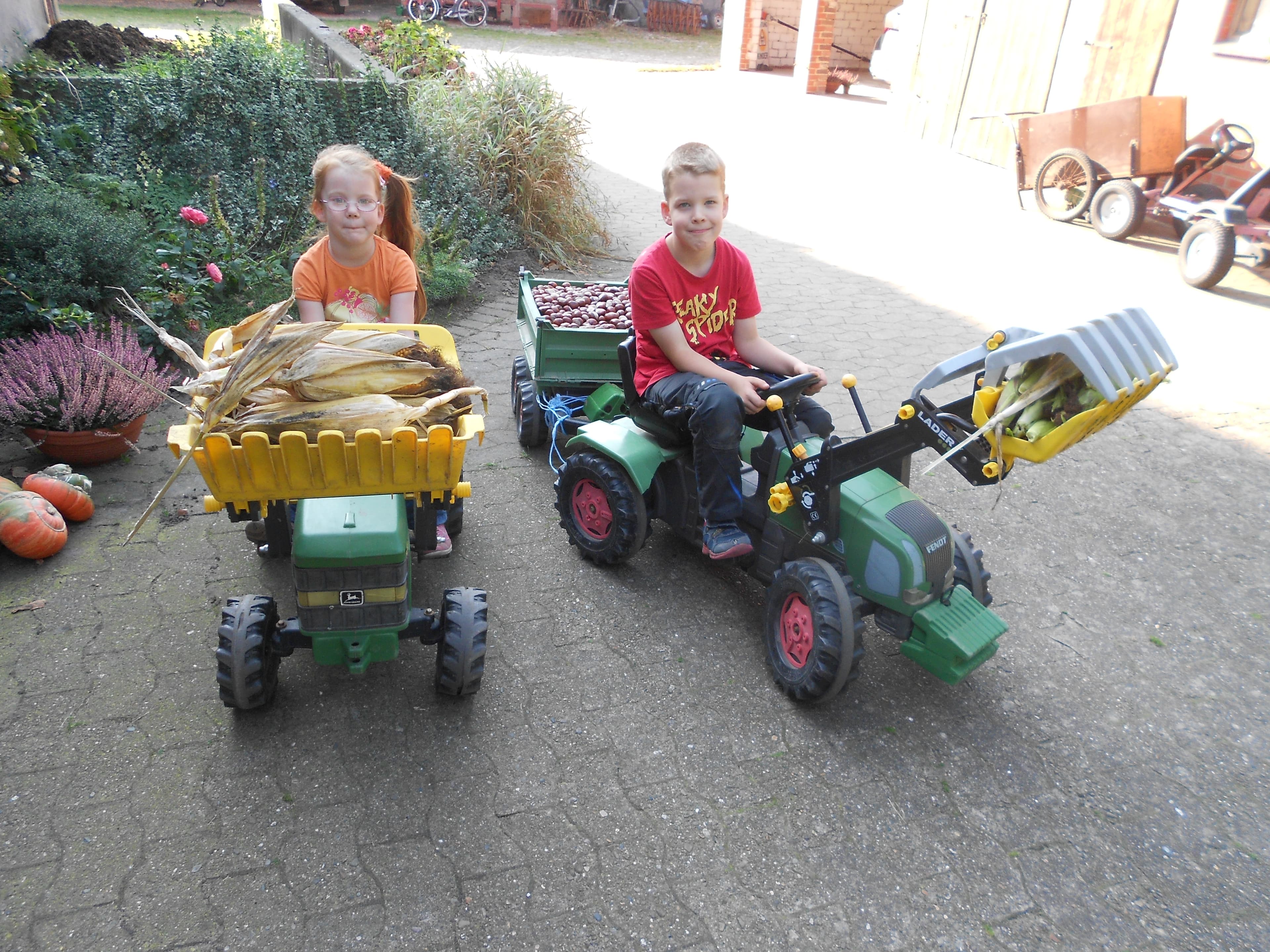 Spielmöglichkeiten auf dem Ferienhof Fegebank in Grethem