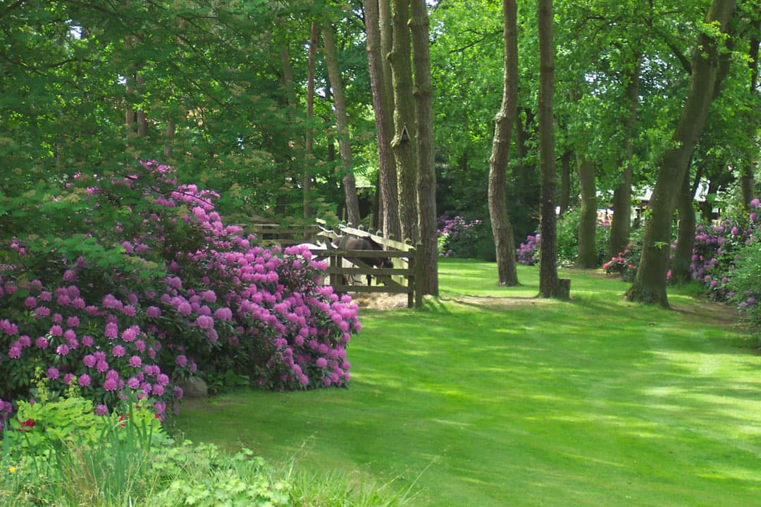 Gästehaus im Zeisigbusch