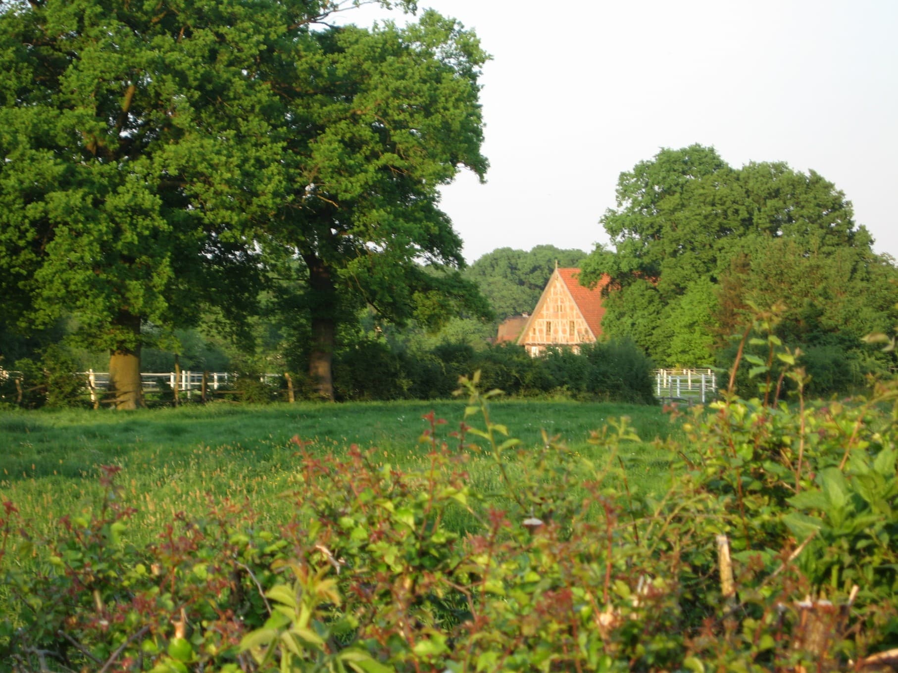 Ferienwohnung Klein-Grindau