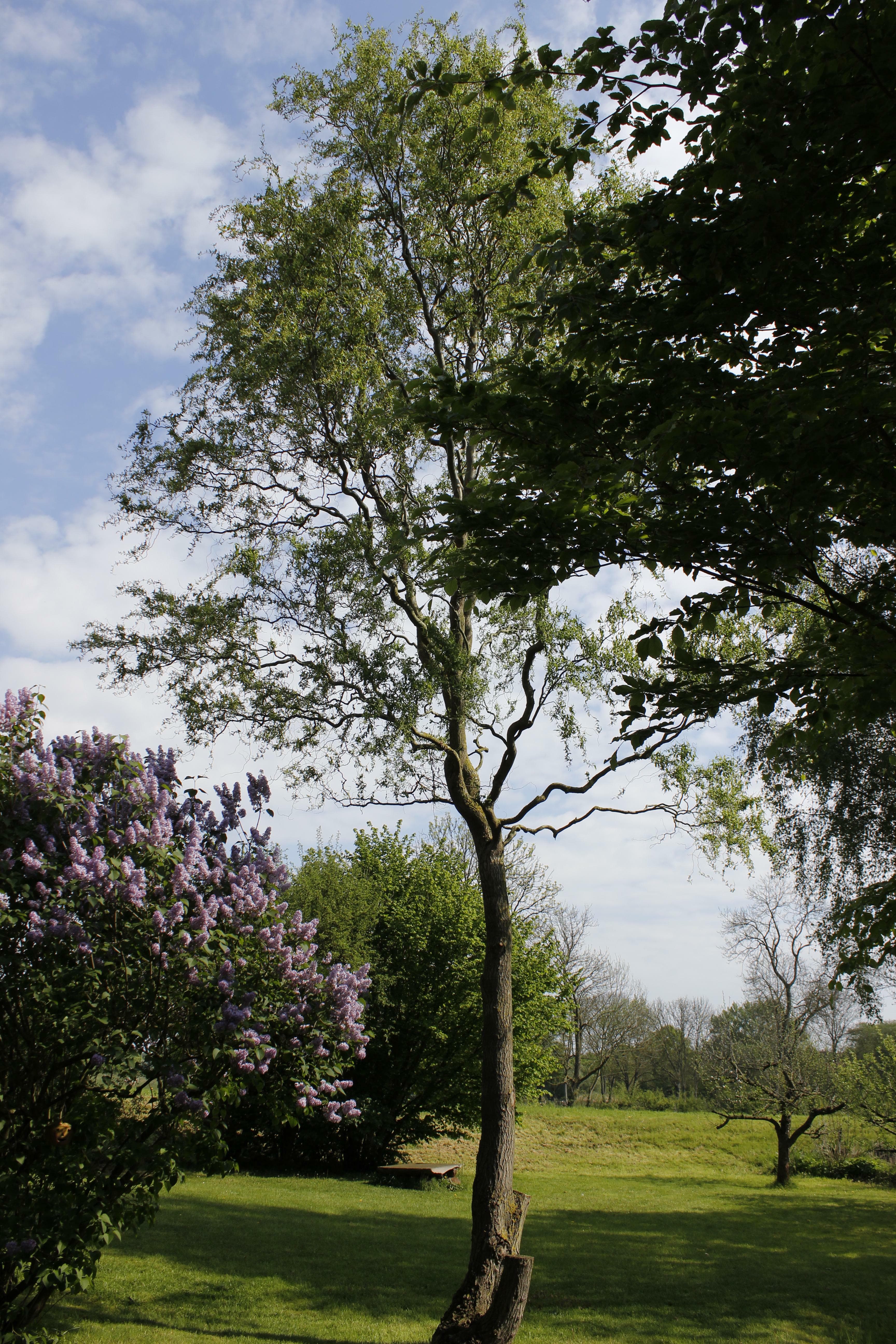 Ferienwohnung Klein-Grindau
