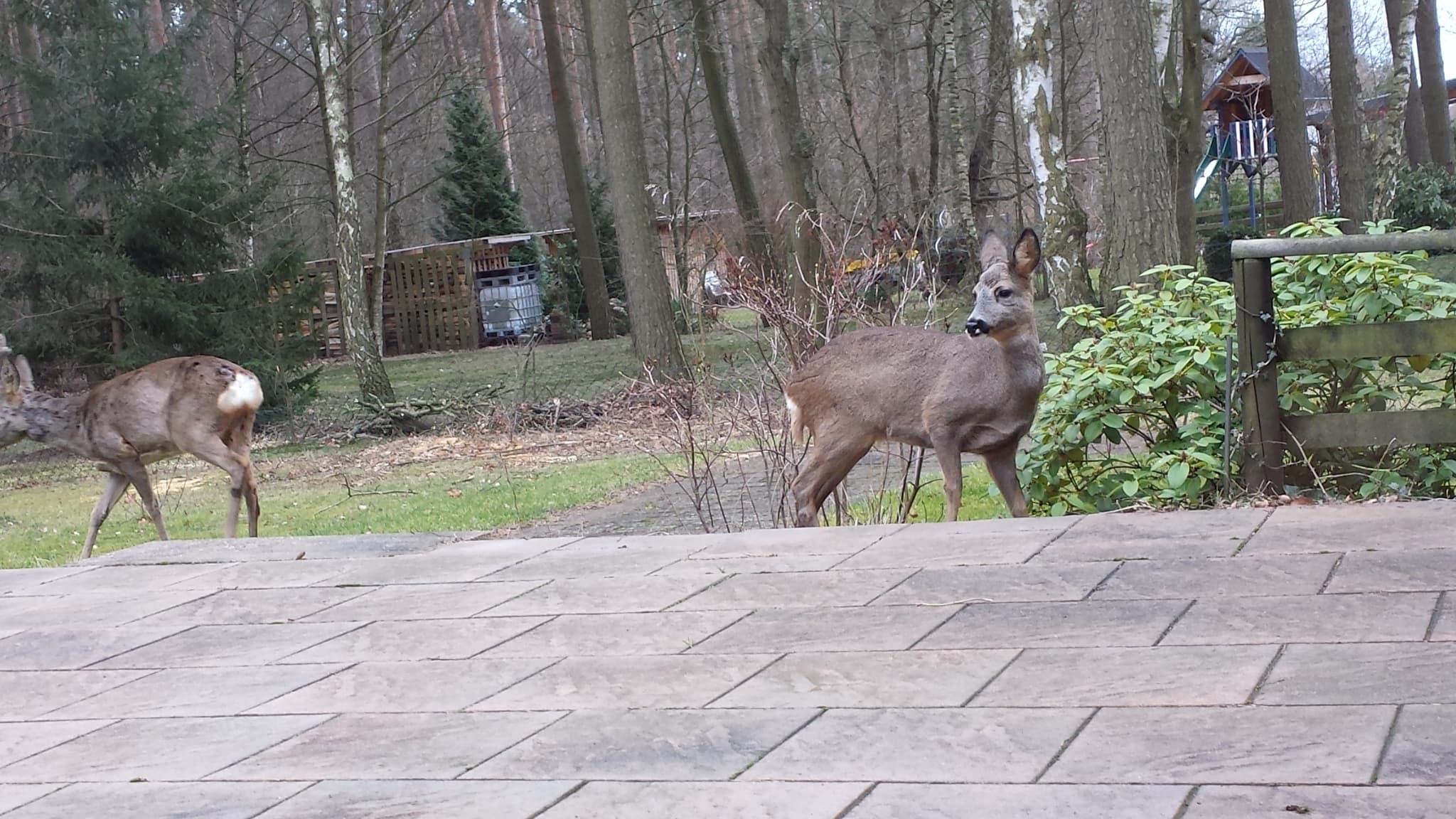 Terrasse der Ferienwohnungen Bad Bodenteich