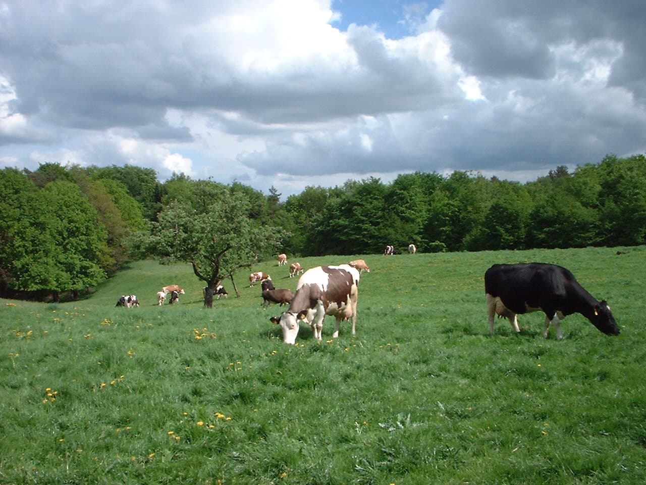 Ferienhaus Wollspeicher