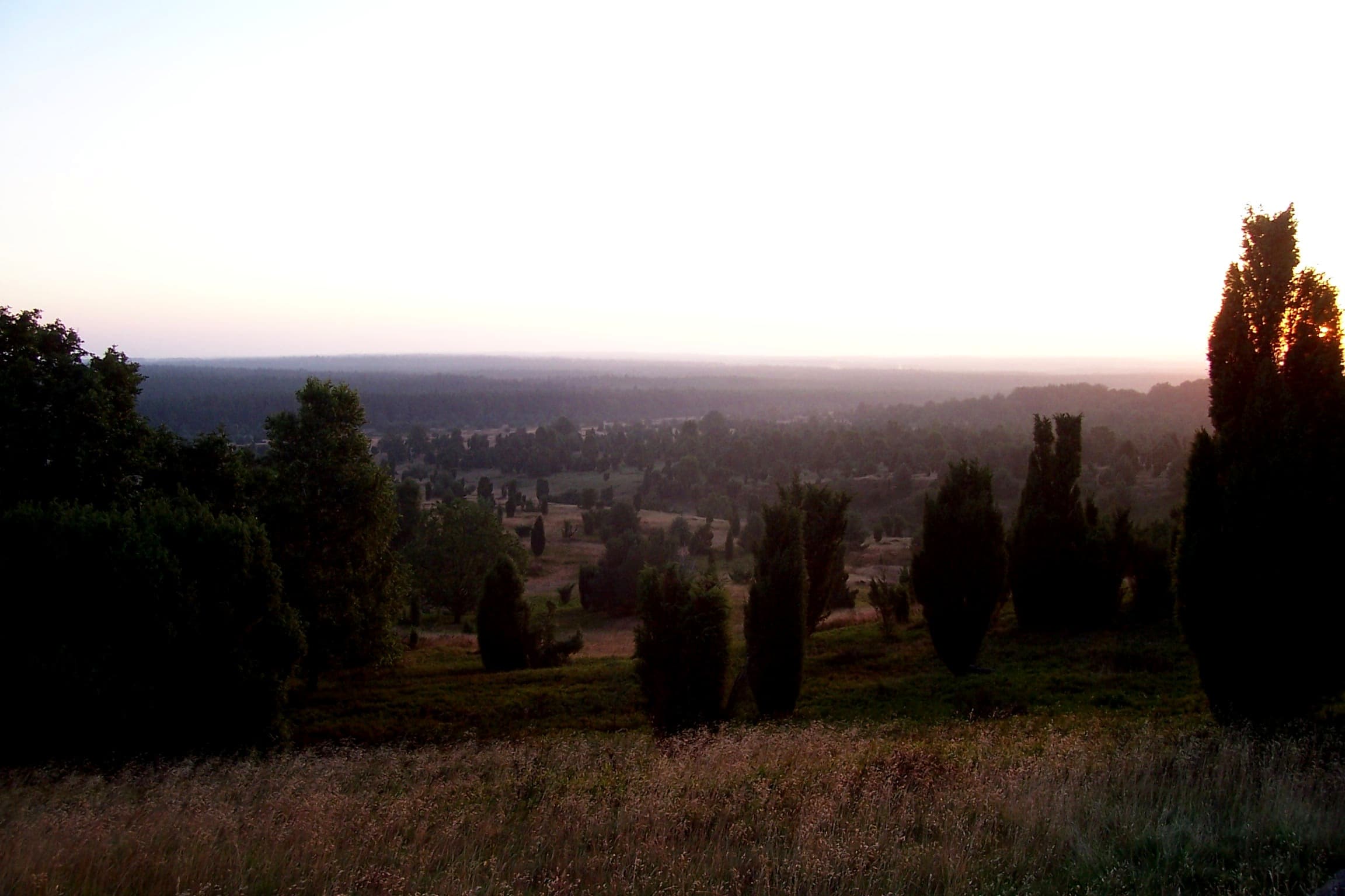 Heidefläche an der Ferienwohnung Haus Heckenrose in Undeloh