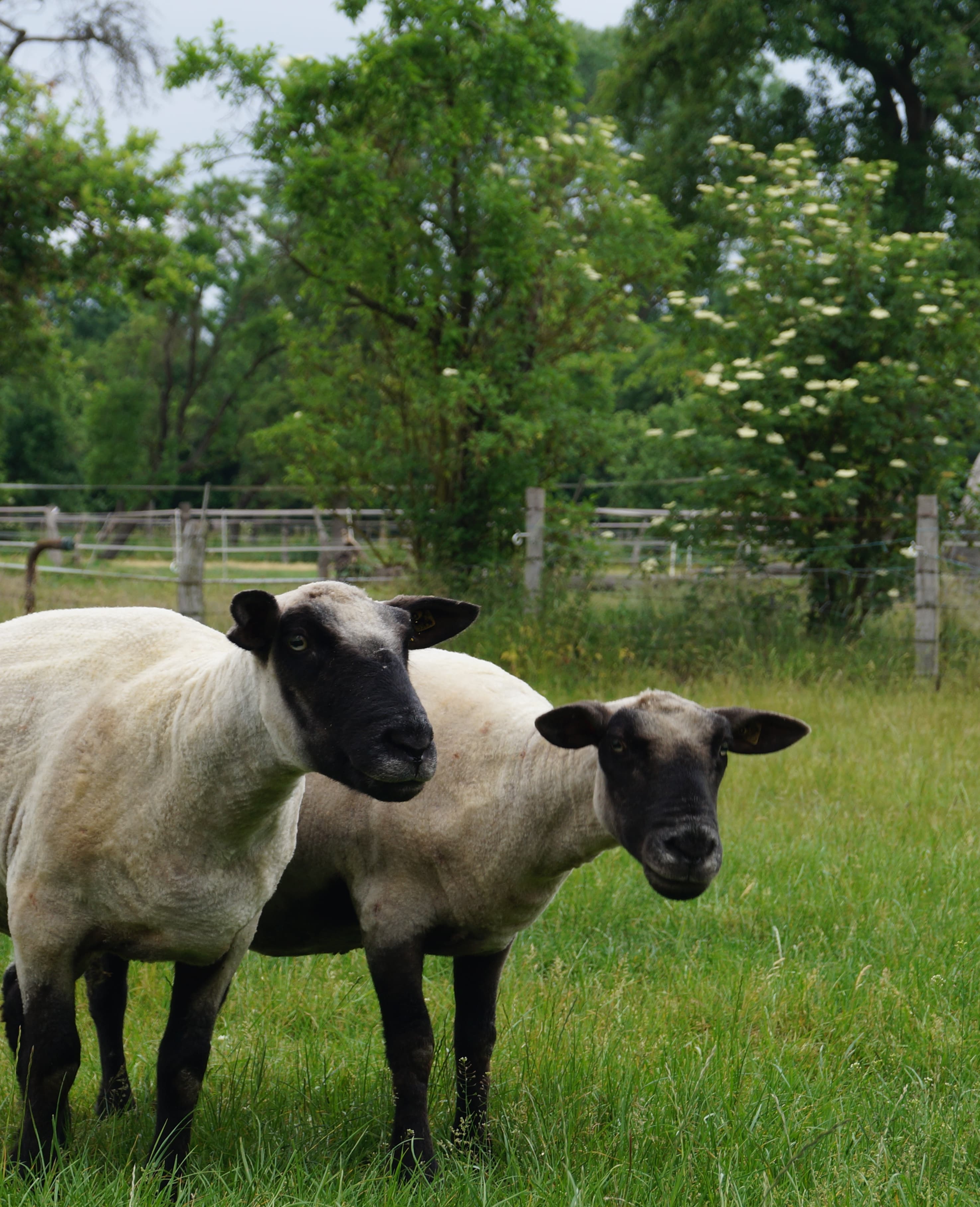 Ferienhaus Altes Backhaus