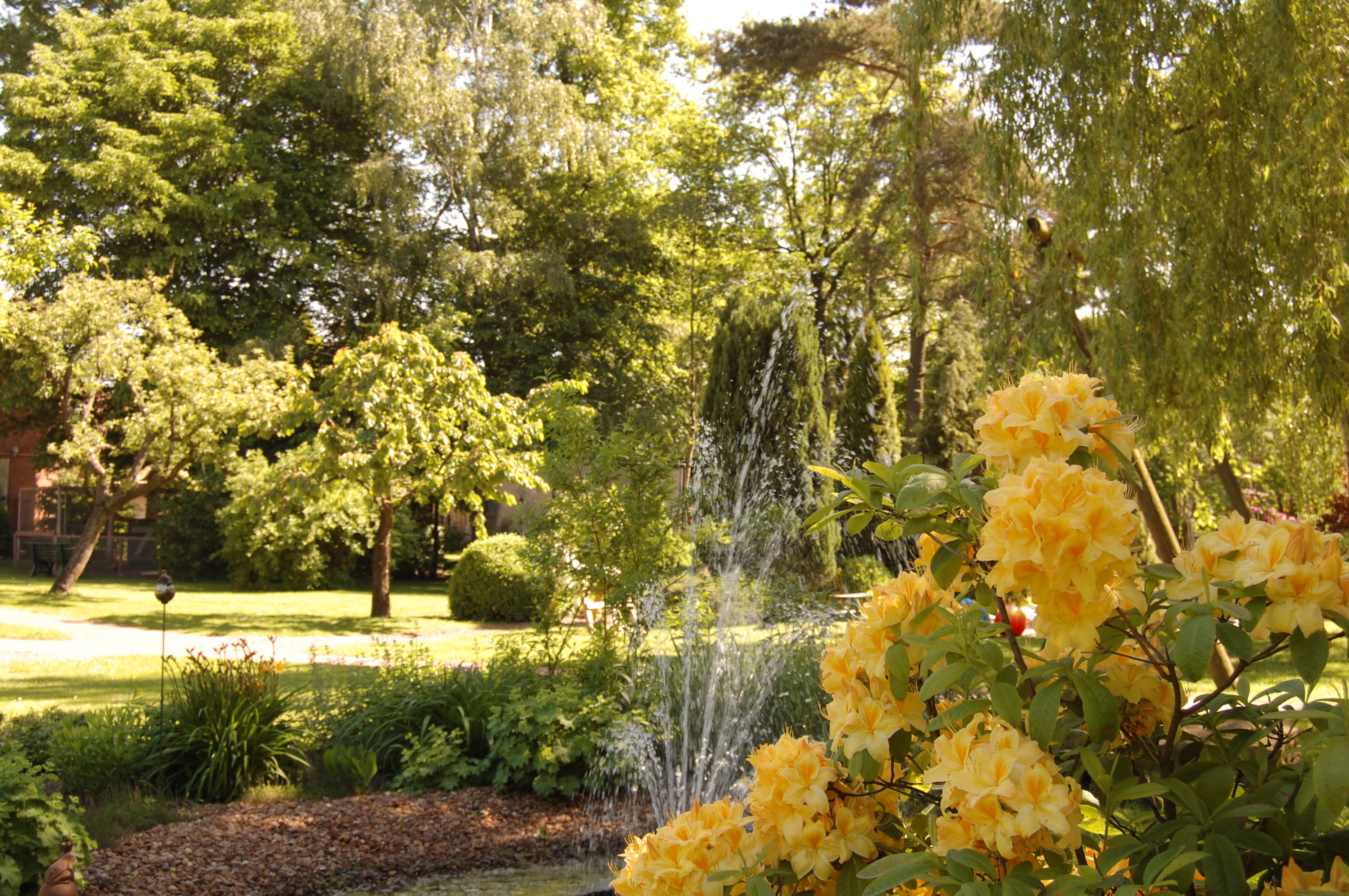 Garten in dem Hotel Allerhof in Frankenfeld