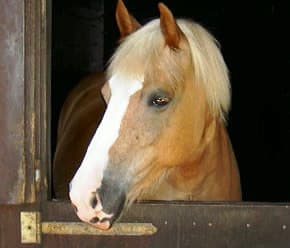 Drewes-HofDrewes-HofDrewes-HofDrewes-Hof