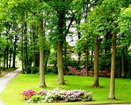 Drewes-HofDrewes-HofDrewes-HofDrewes-Hof