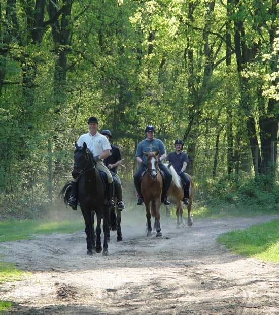 Mama`s Ausbildungsstall