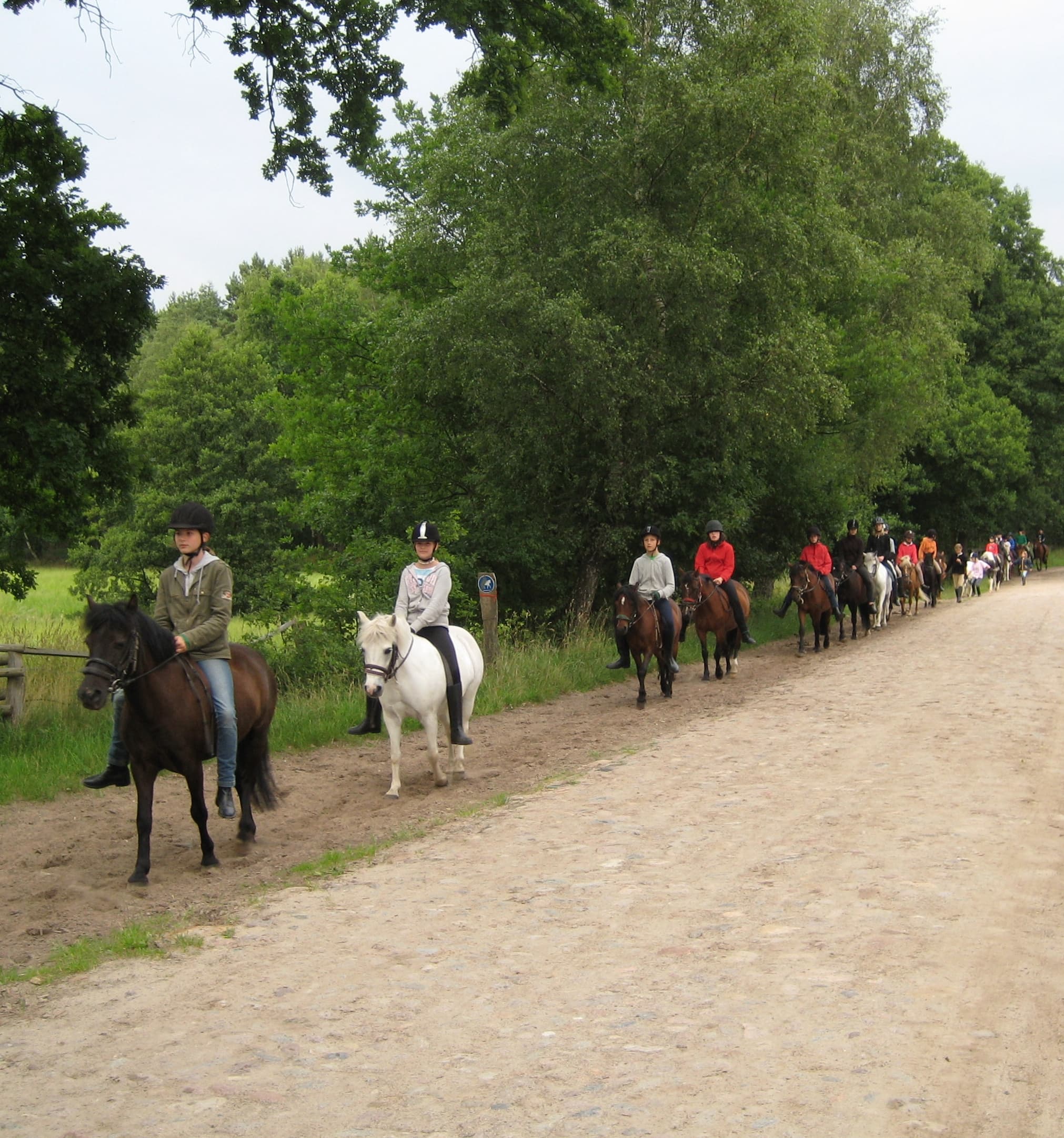 Mama`s Ausbildungsstall