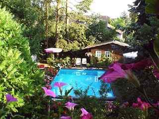 Ferienhaus "Unter den Birken"