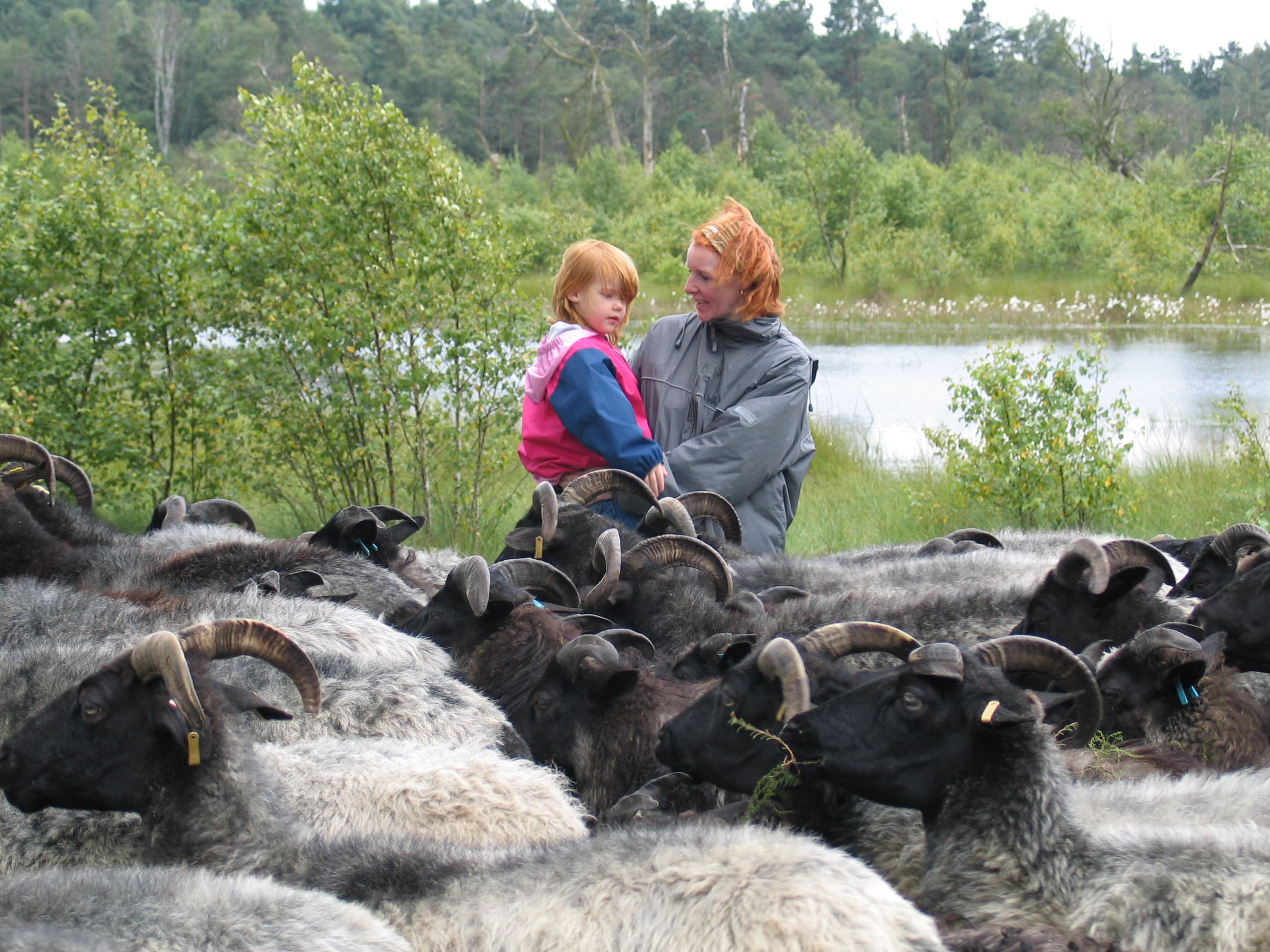 Pension "Der Schnuckenhof"
