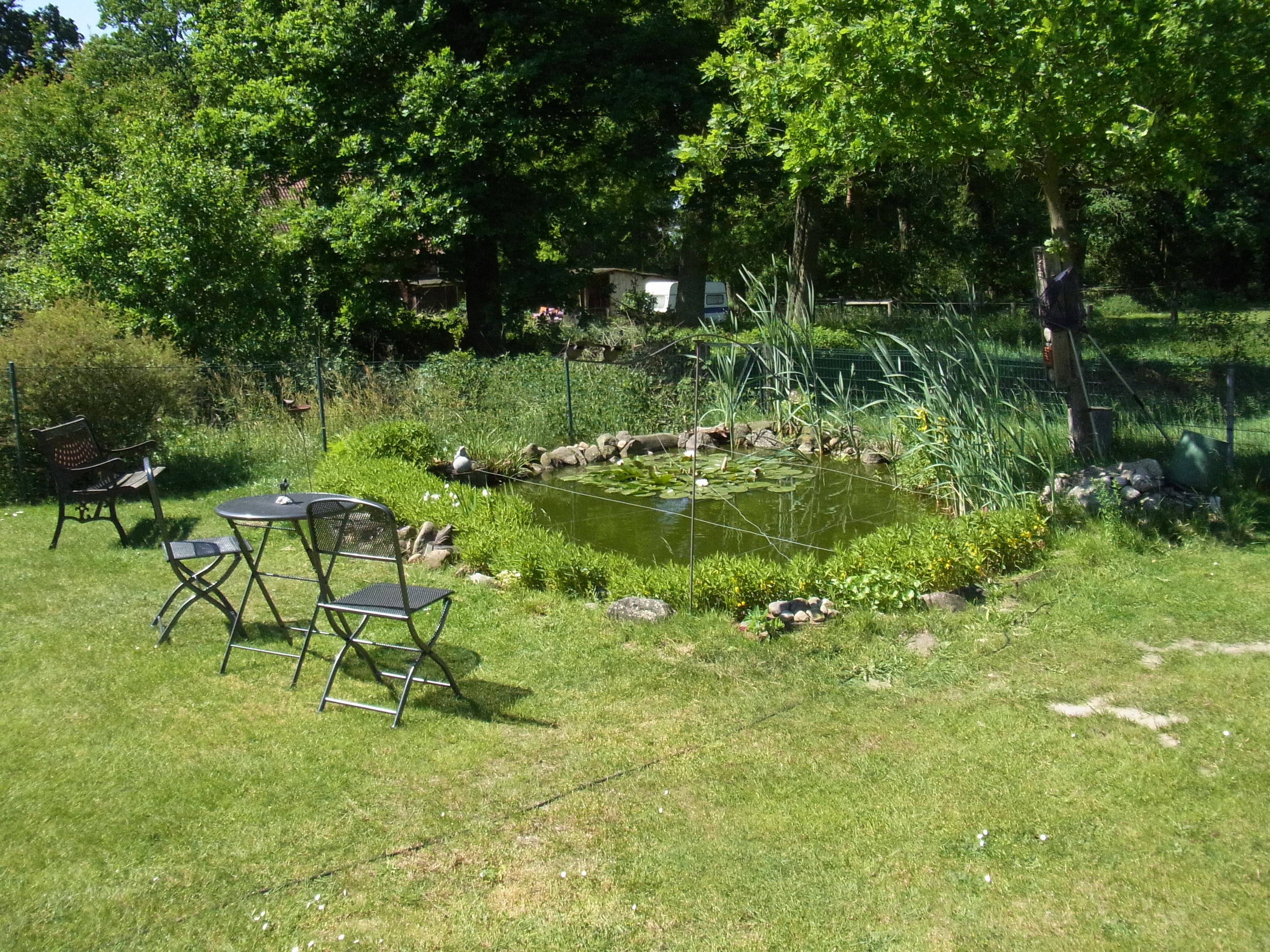 Teich im Garten