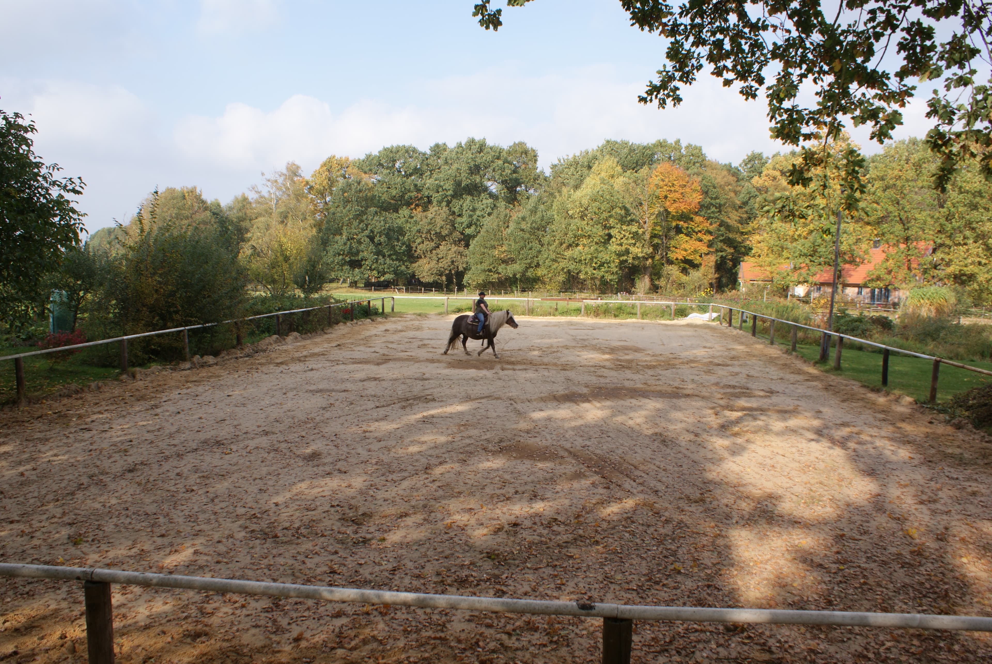 Reitplatz der Ferienwohnung Krischanshof in Neuenkirchen