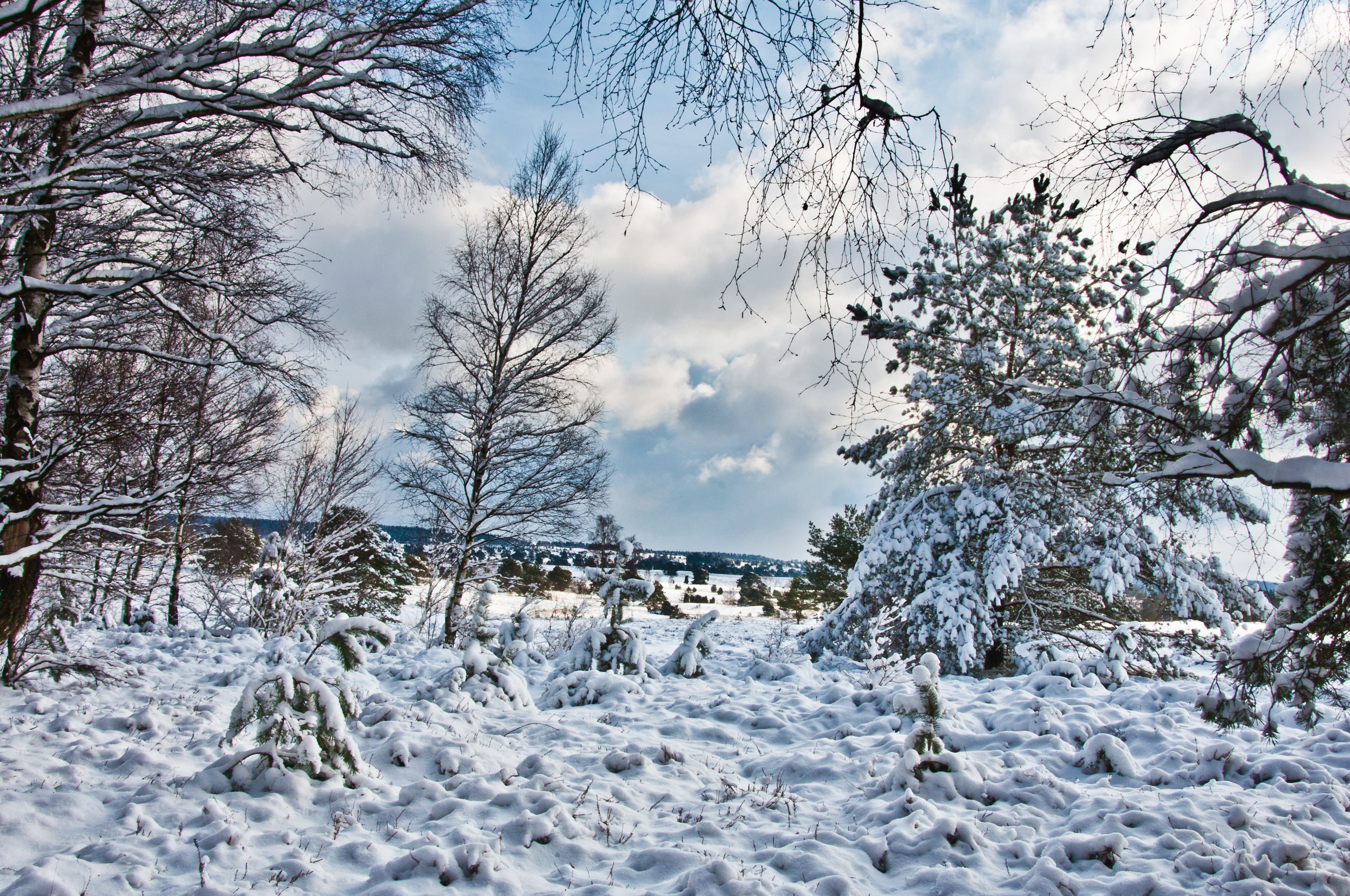 Hof Hartig Ferienwohnungen