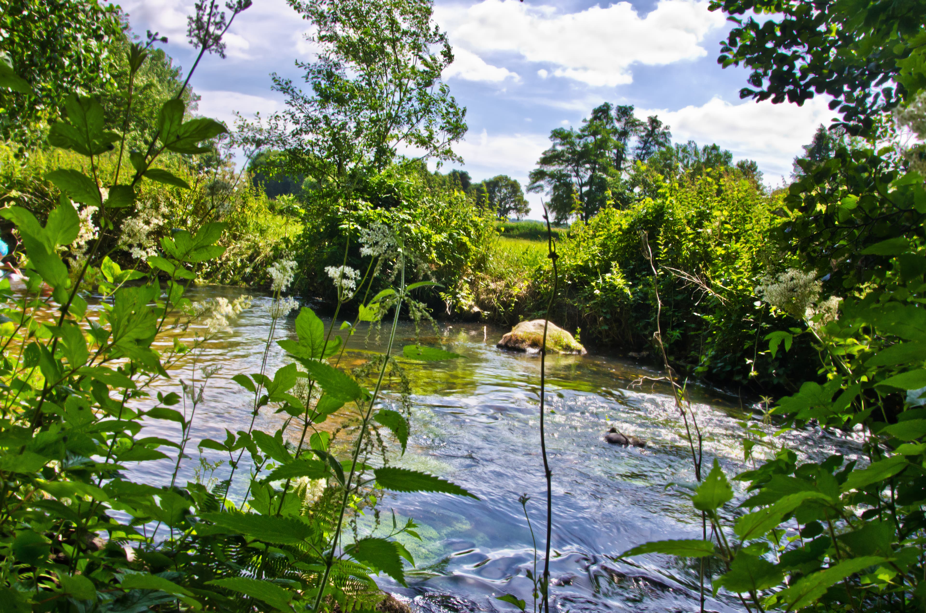Hof Hartig Ferienwohnungen