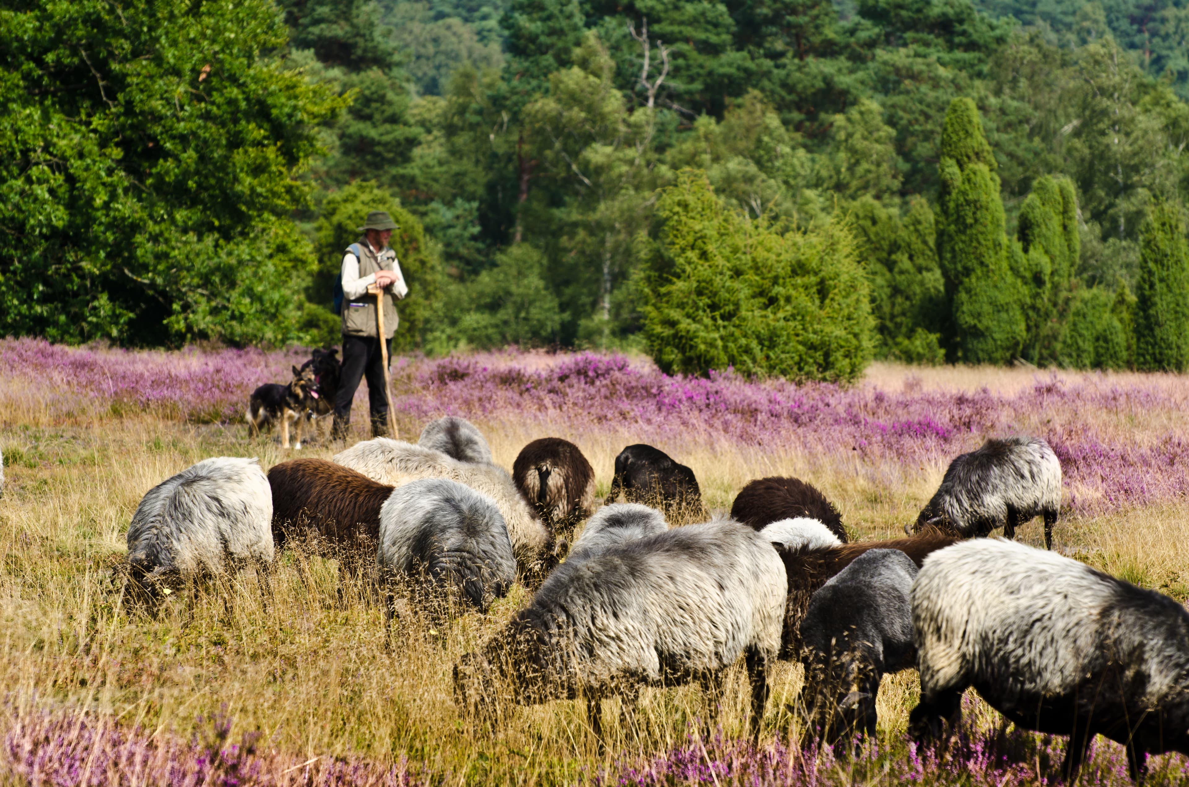 Hof Hartig Ferienwohnungen
