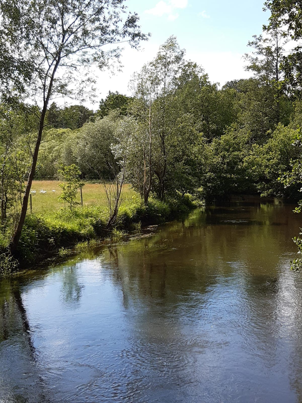 Die Örtze bei der Ferienwohnung Örtzeblick in Bergen