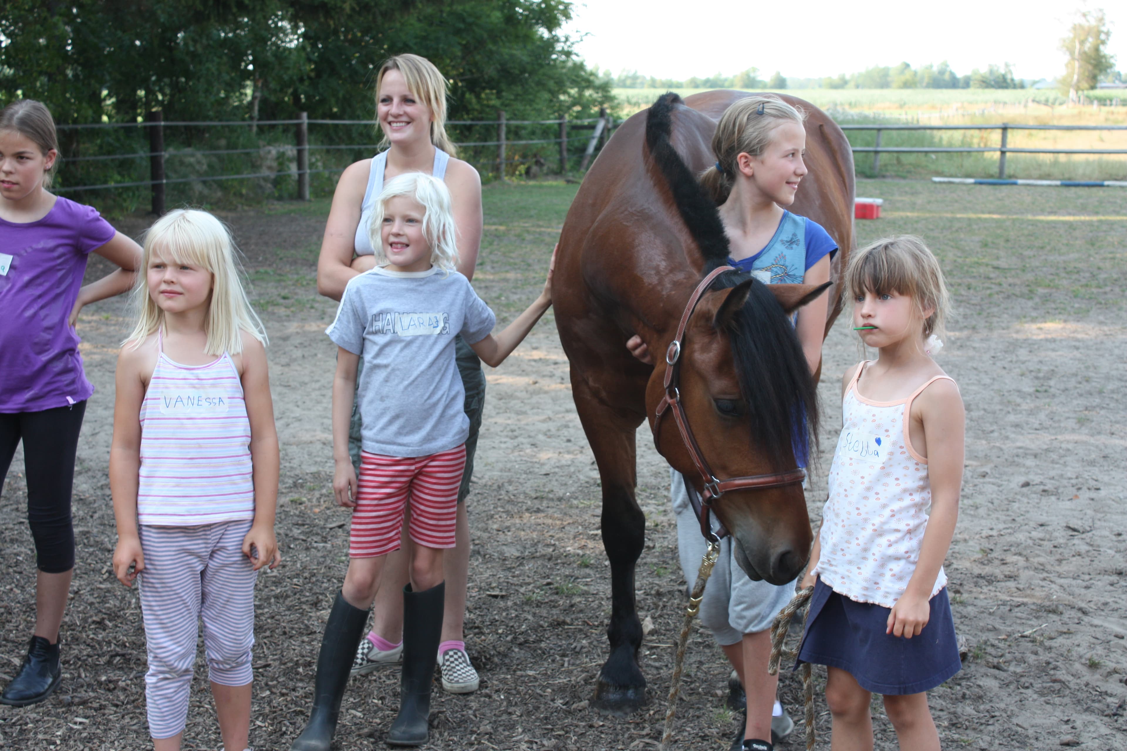 Ferienzentrum Heidenau - Campingplatz