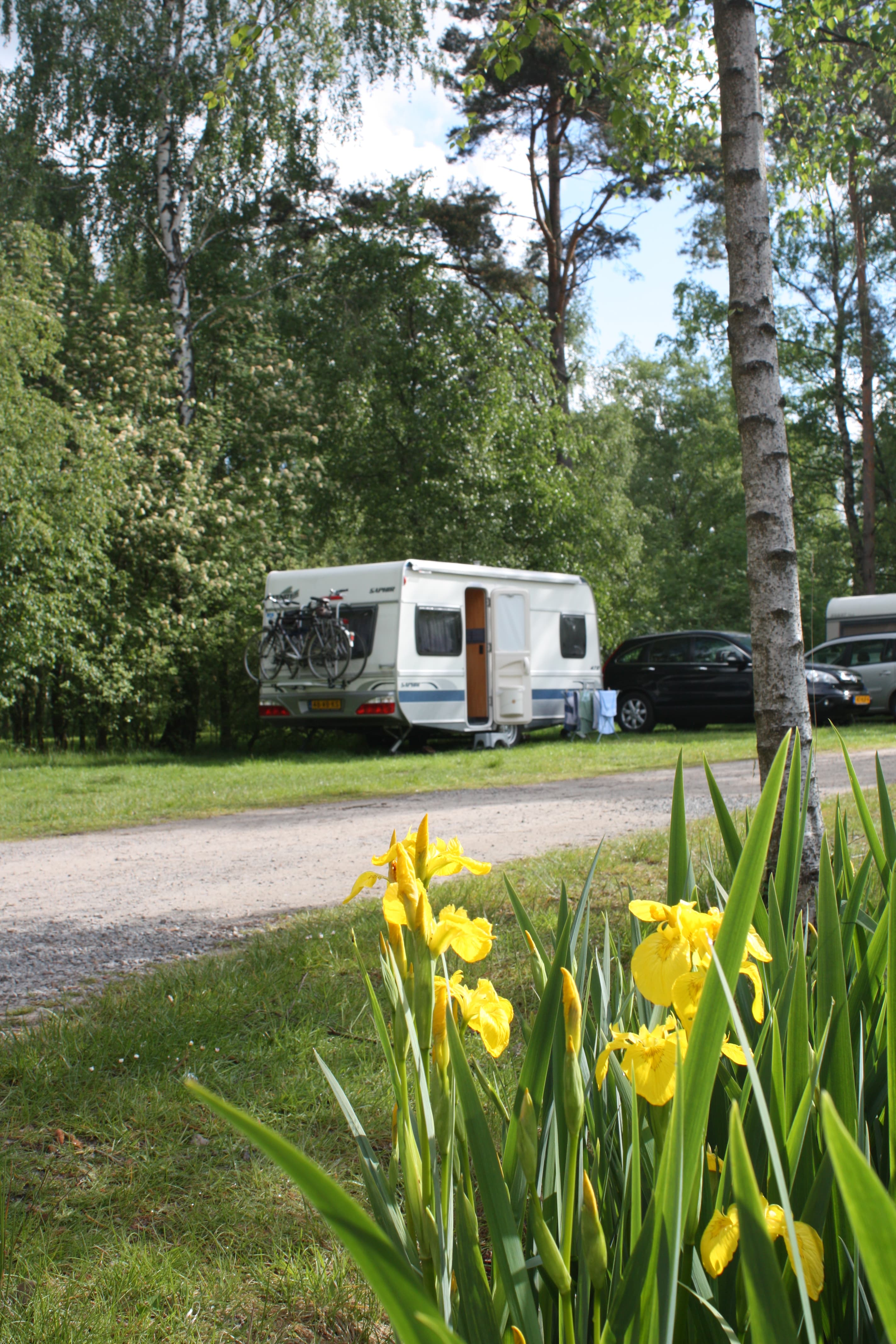 Ferienzentrum Heidenau - Campingplatz