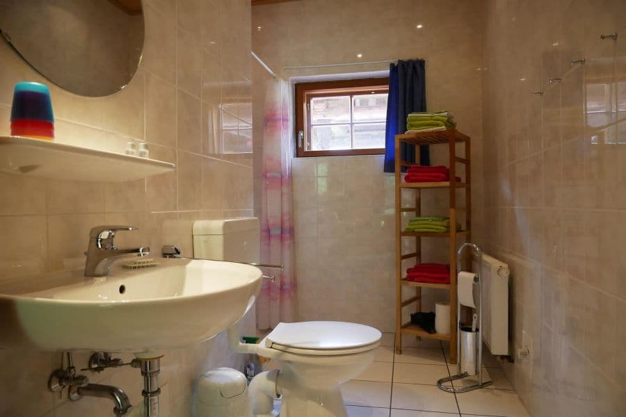 Badezimmer der Ferienwohnung Schafstall auf dem Ferienhof Holste