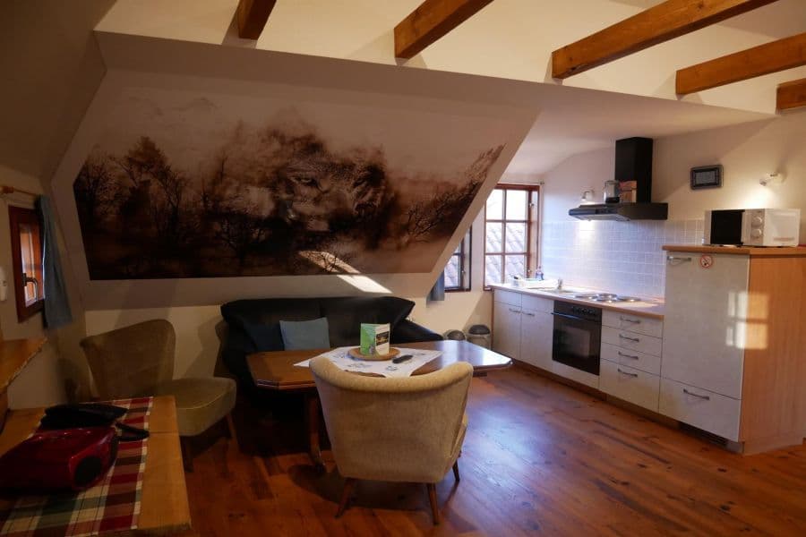 Kueche der Ferienwohnung Wolfshoehle auf dem Ferienhof Holste