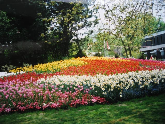Appartements Haus Eilenriede