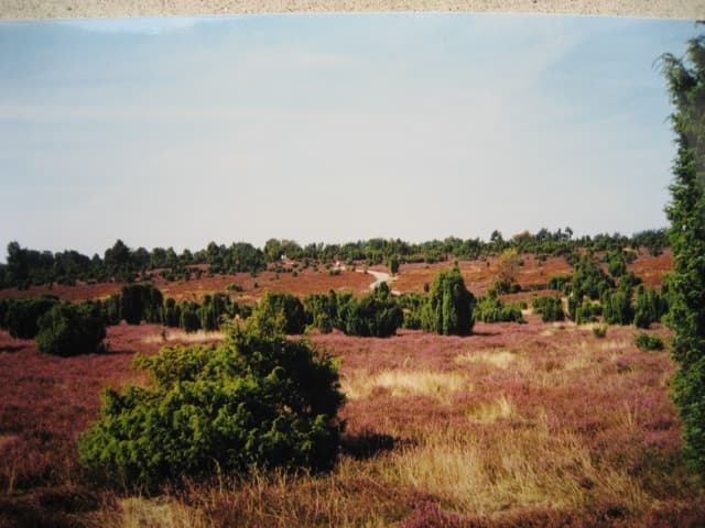 Appartements Haus Eilenriede
