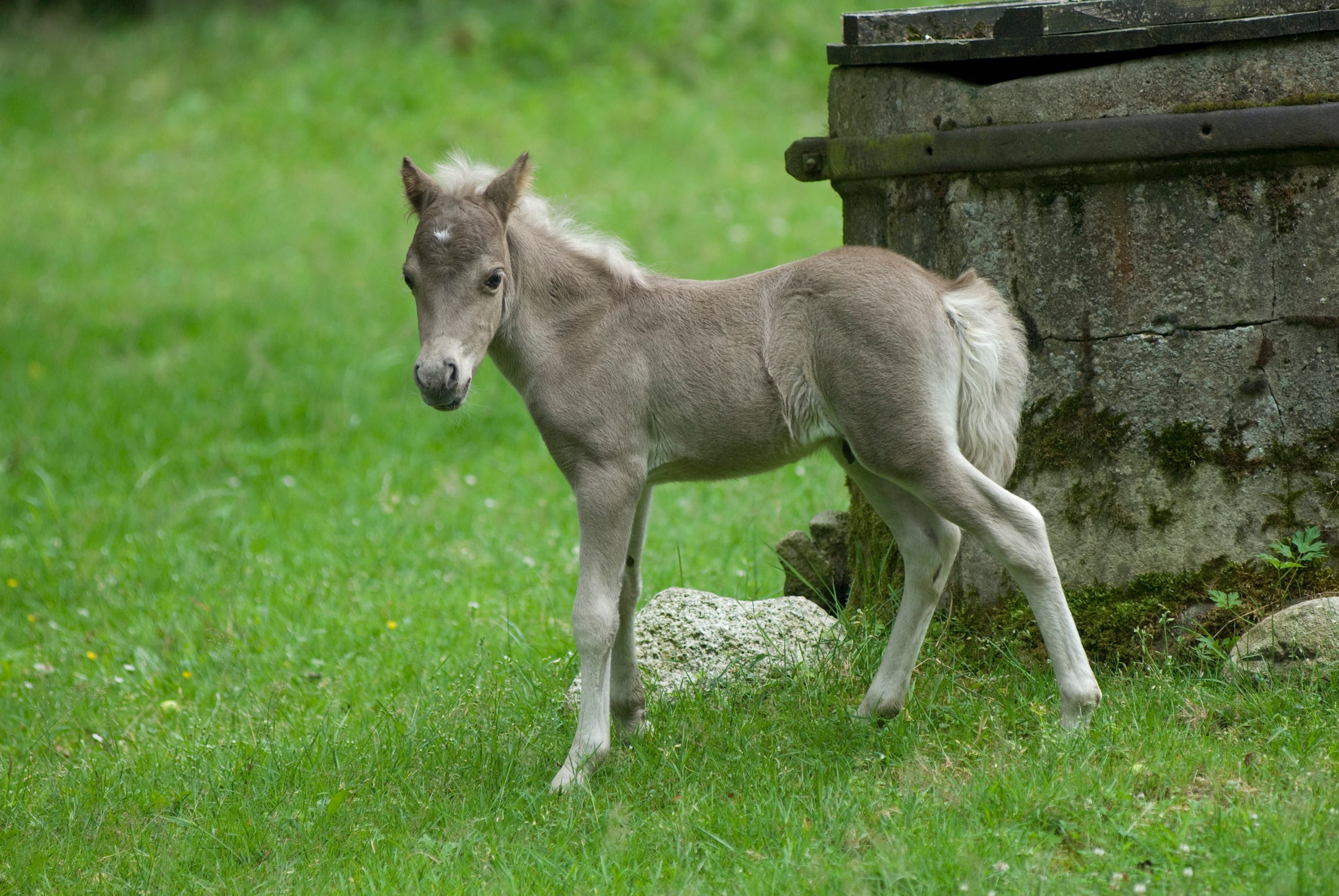 Ferienhof Flottwedel
