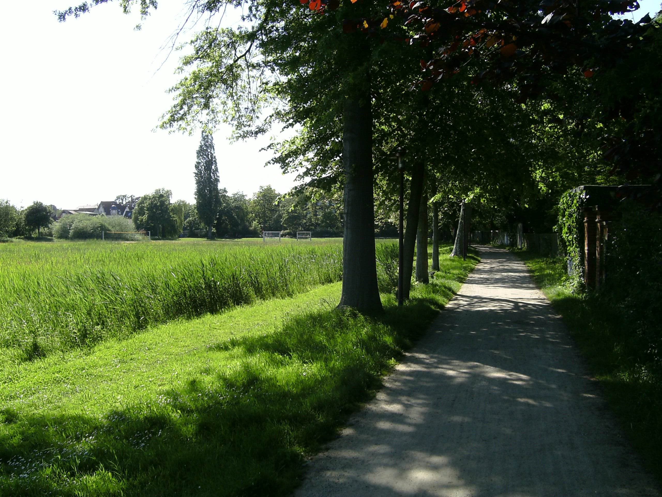 Leisewitz´ Garten