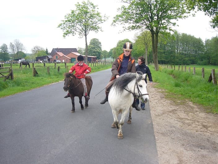 Pony Ferienhof Wiechers - Wohnmobilstellplatz
