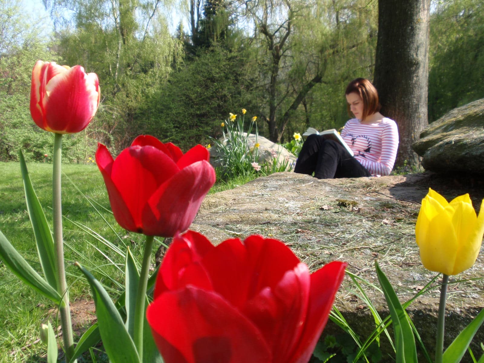 Ferienhof Wiechers - Wohnmobilstellplatz Blumen