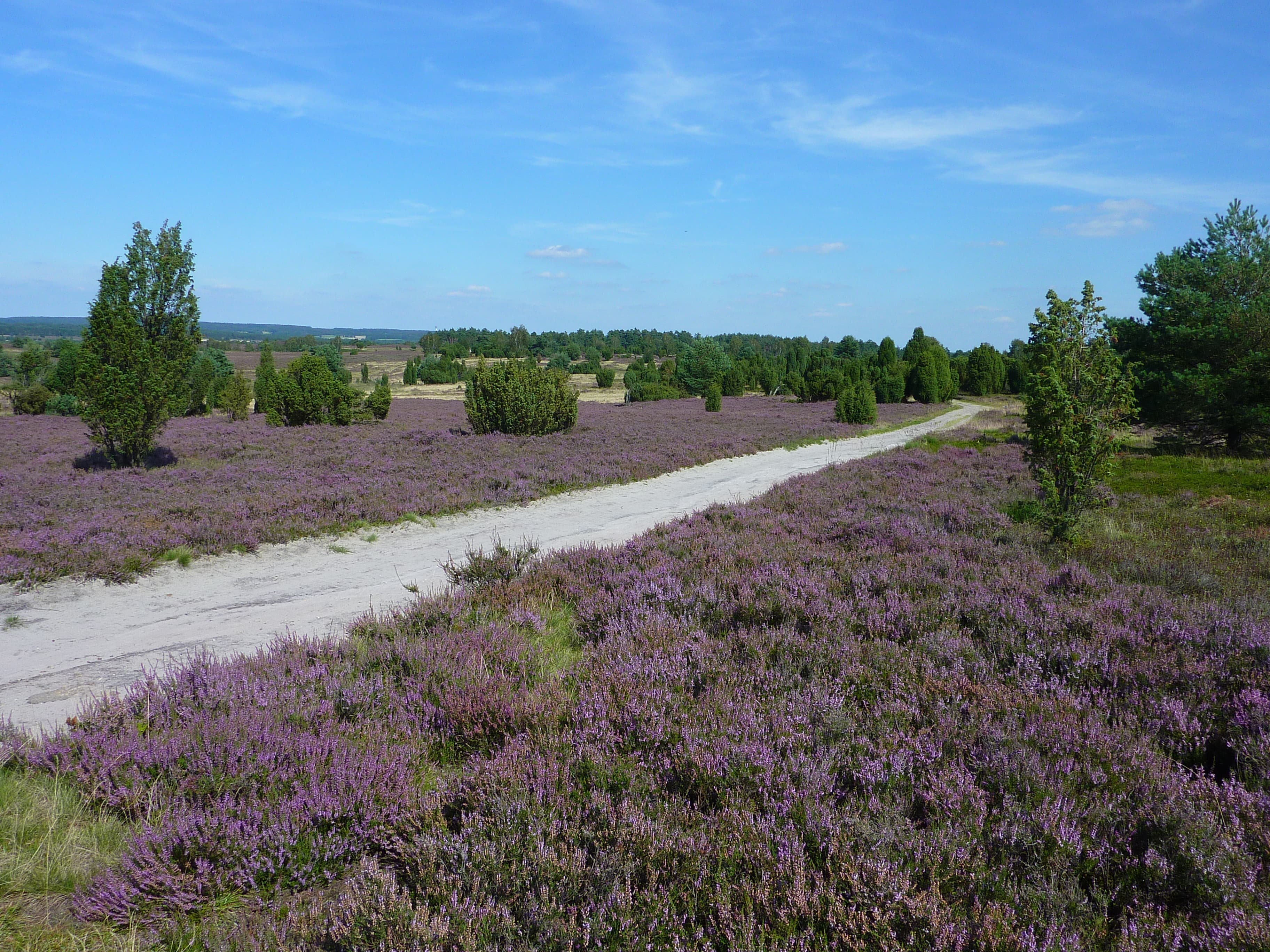 Ferienwohnungen im Landhaus Heide
