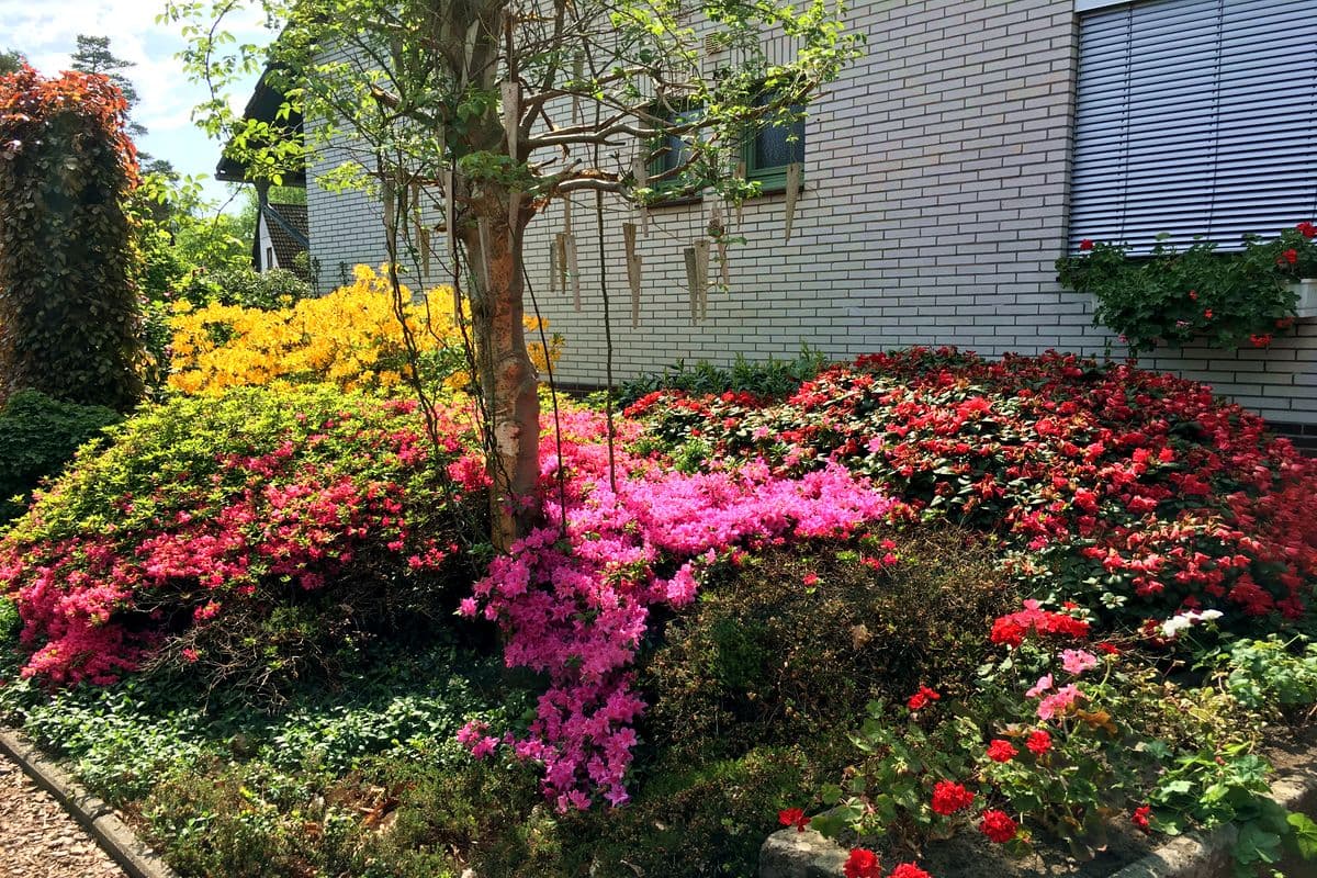 Garten Haus 52° Nord in Winsen (Aller)