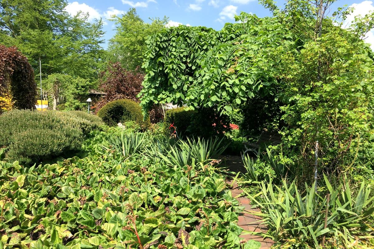 Garten Haus 52° Nord in Winsen (Aller)