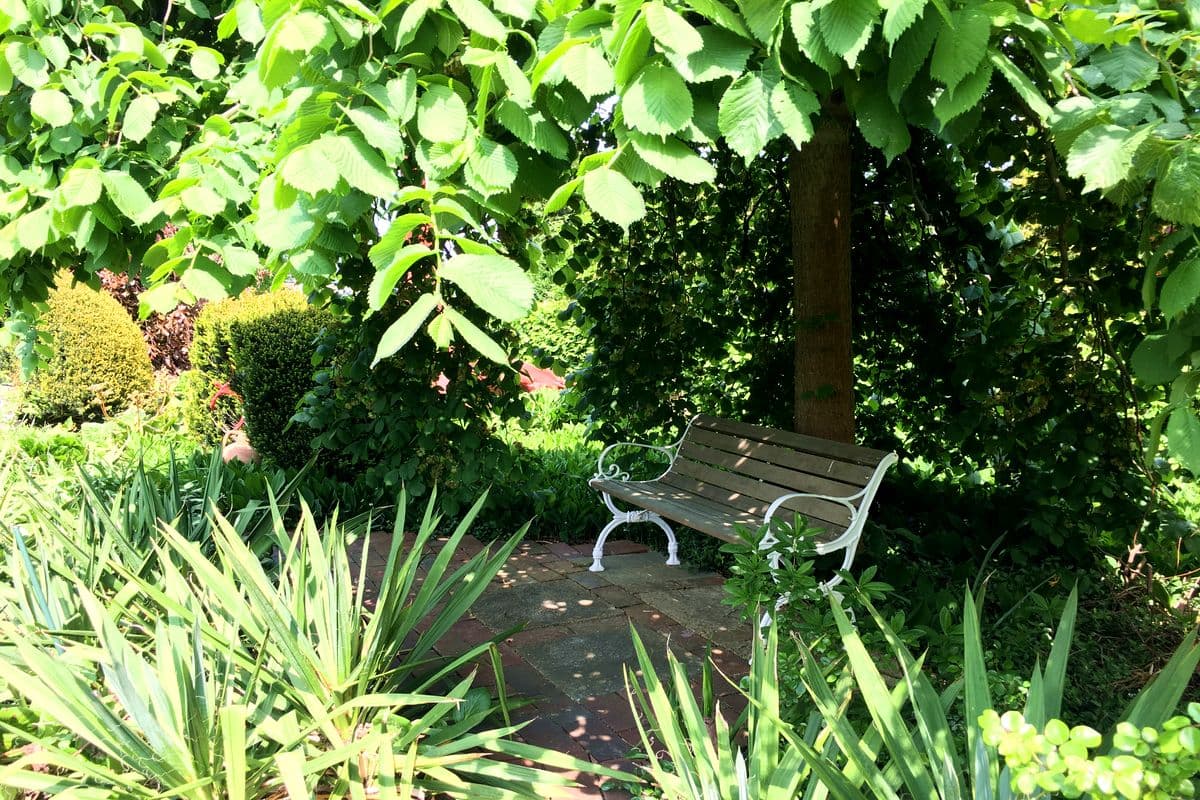 Garten Haus 52° Nord in Winsen (Aller)