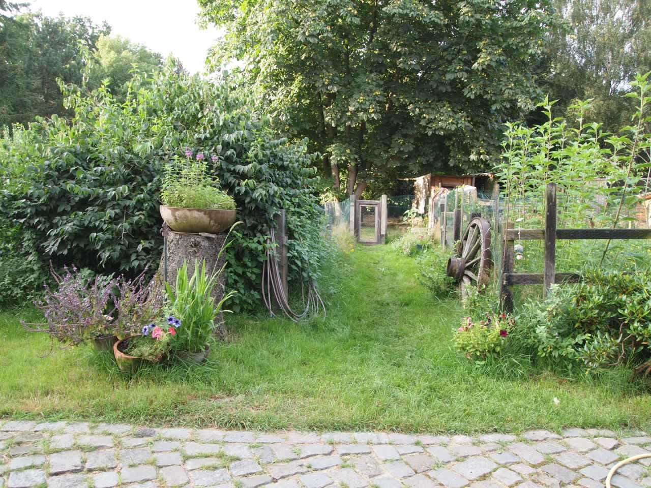 Ferienwohnung "Am Butterberg"