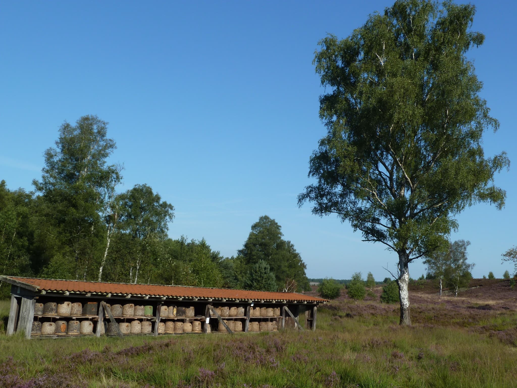 Ferienwohnung Ingrid Rosenbrock