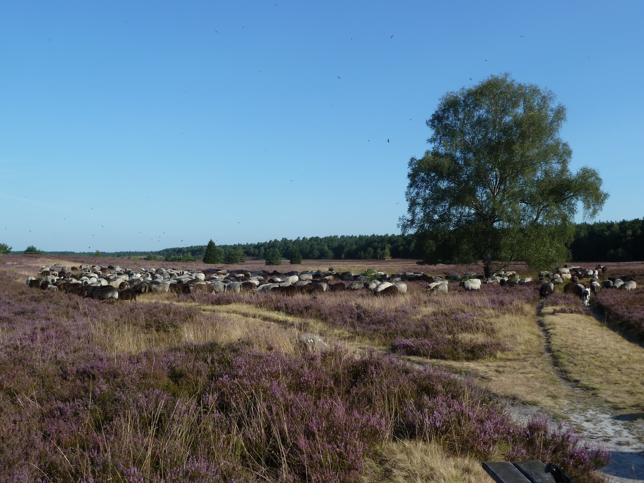 Ferienwohnung Ingrid Rosenbrock