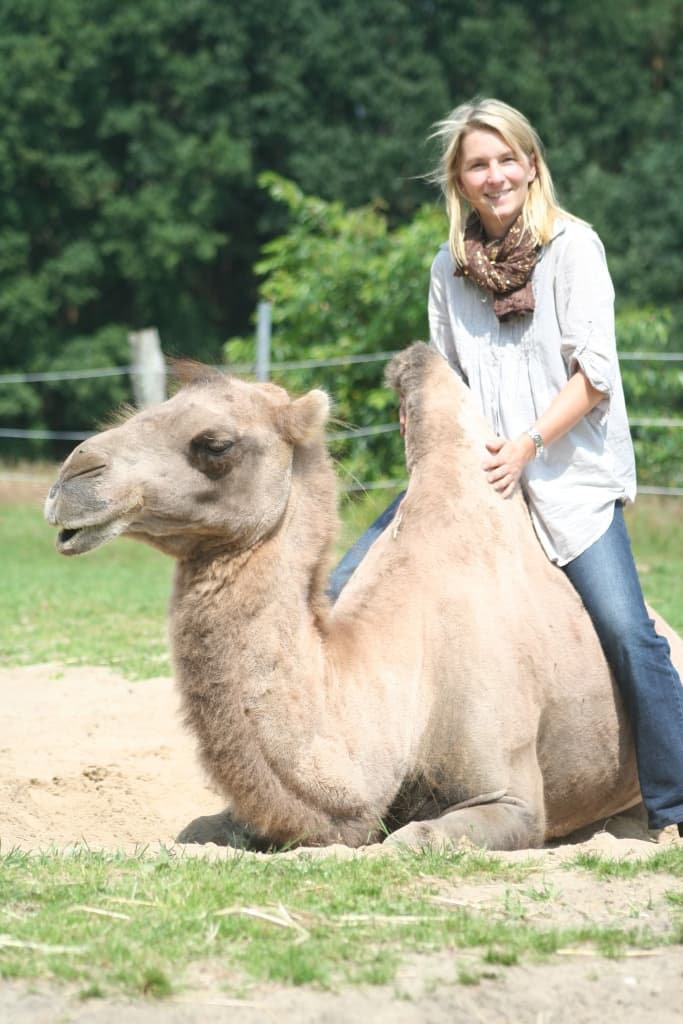 Kamel Dolly der Villa zum Wuestenschiff in Handeloh