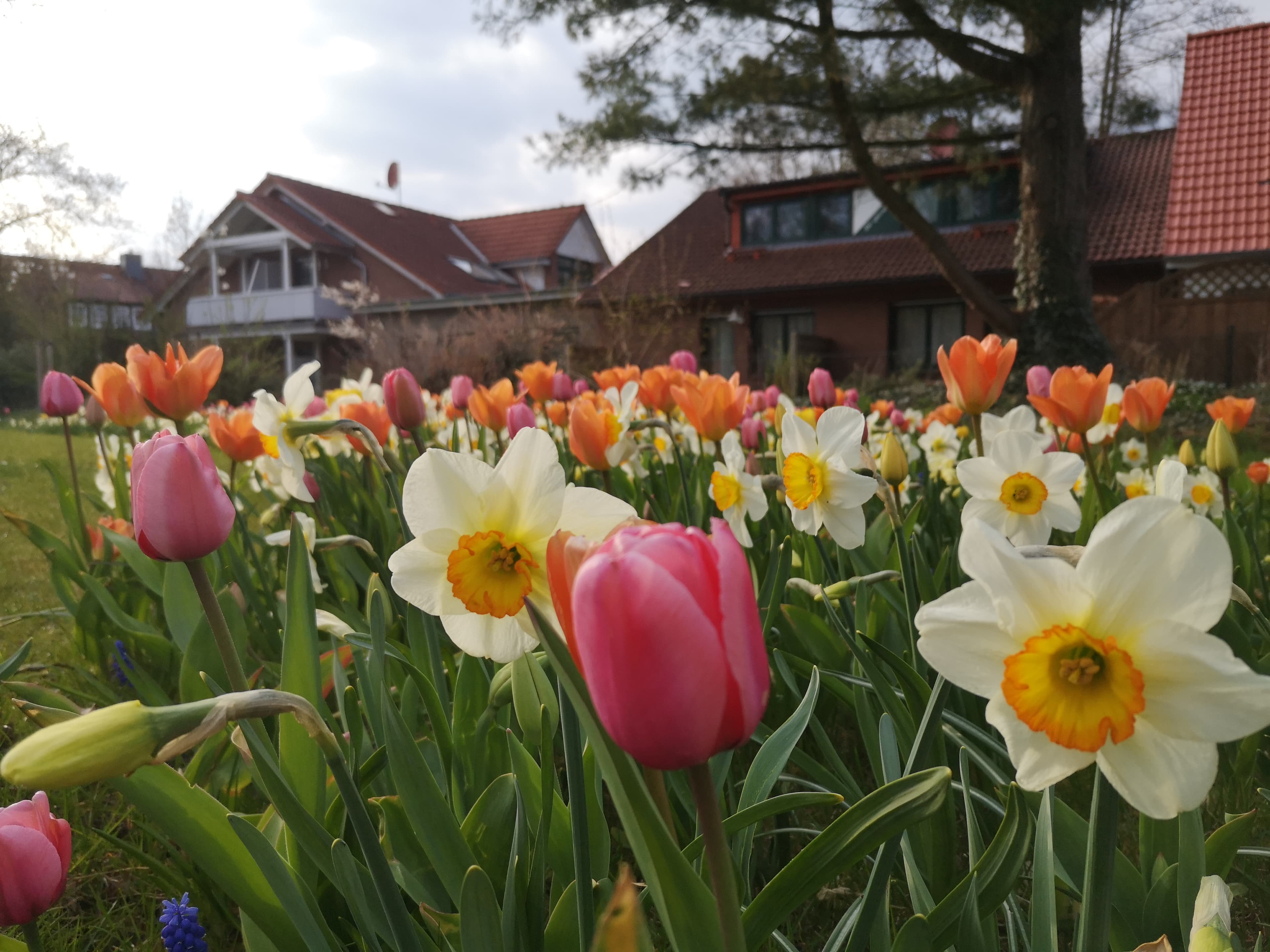 Hotel Dat Greune Eck Soltau Aussenansicht vom Stadtpark