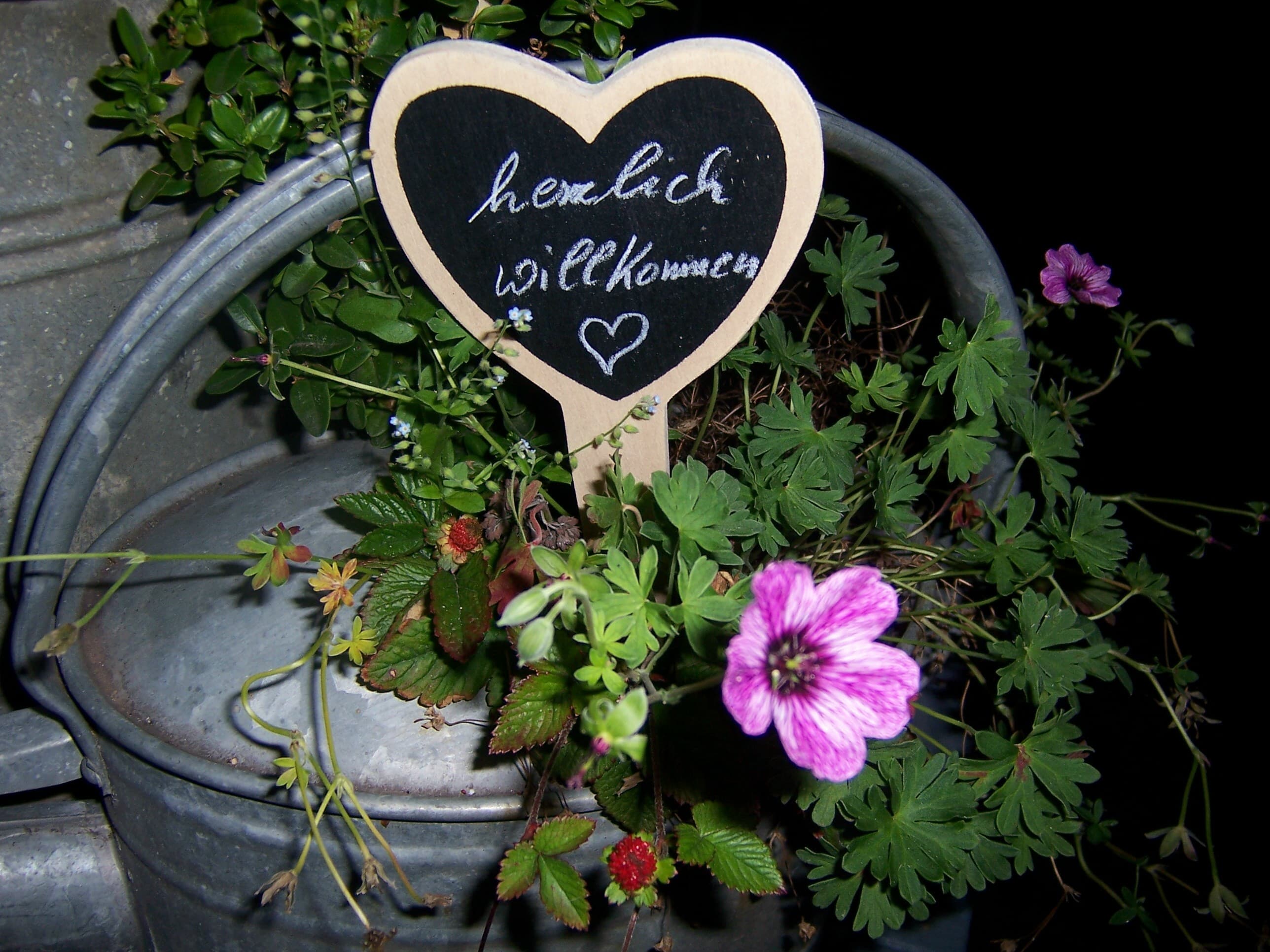 Herzlich Willkommen in den Ferienwohnungen Atelier am Markt in Hermannsburg