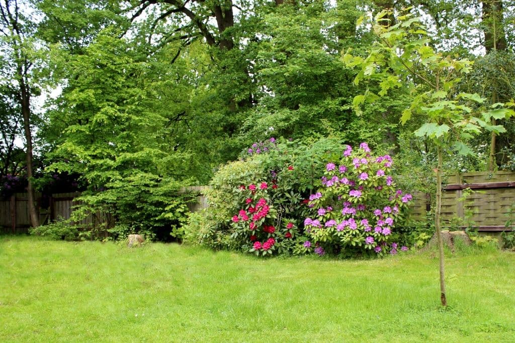 Garten der Ferienwohnung Bernsteinstube in Hermannsburg
