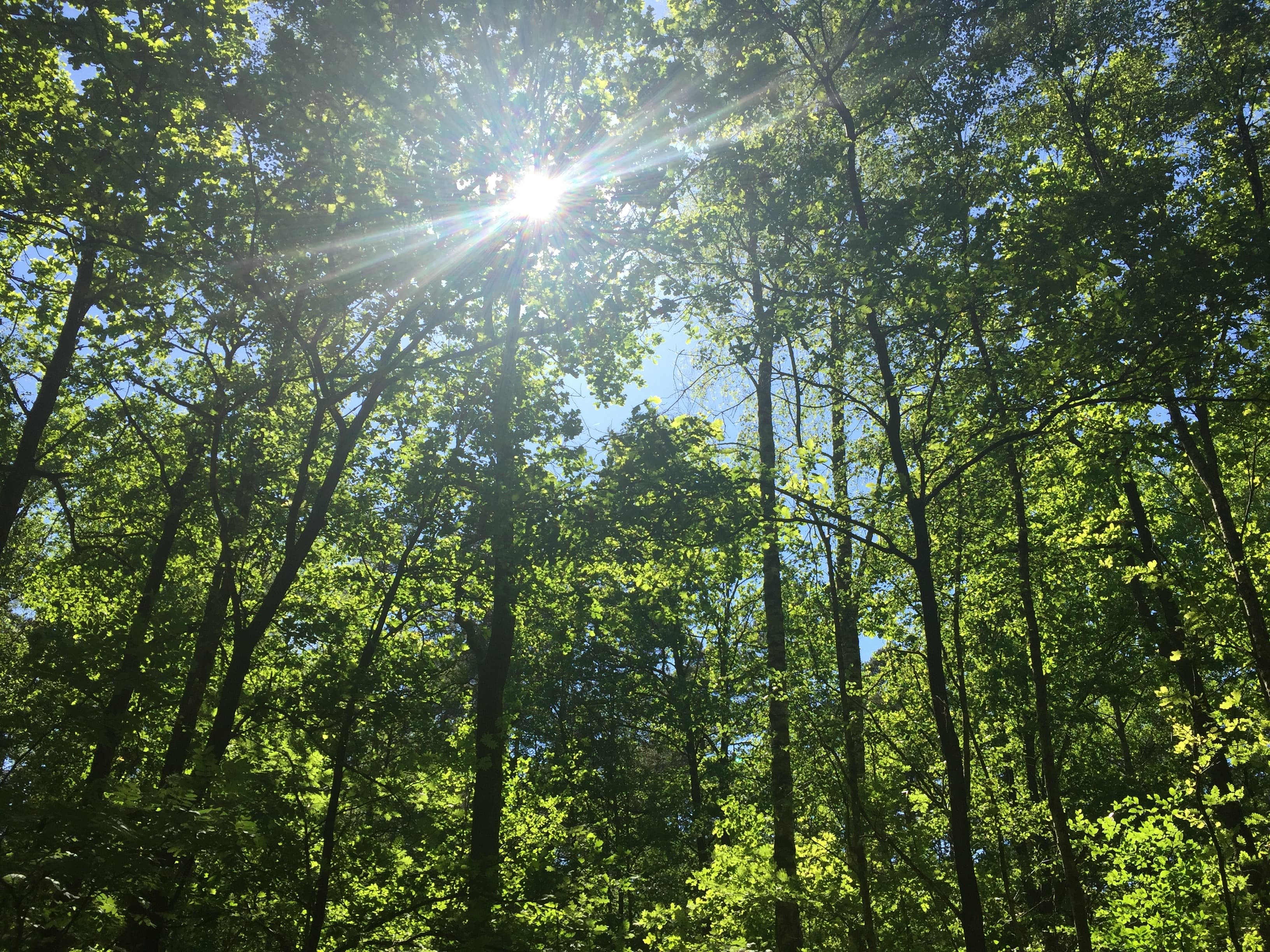 von der Liege in den Himmel