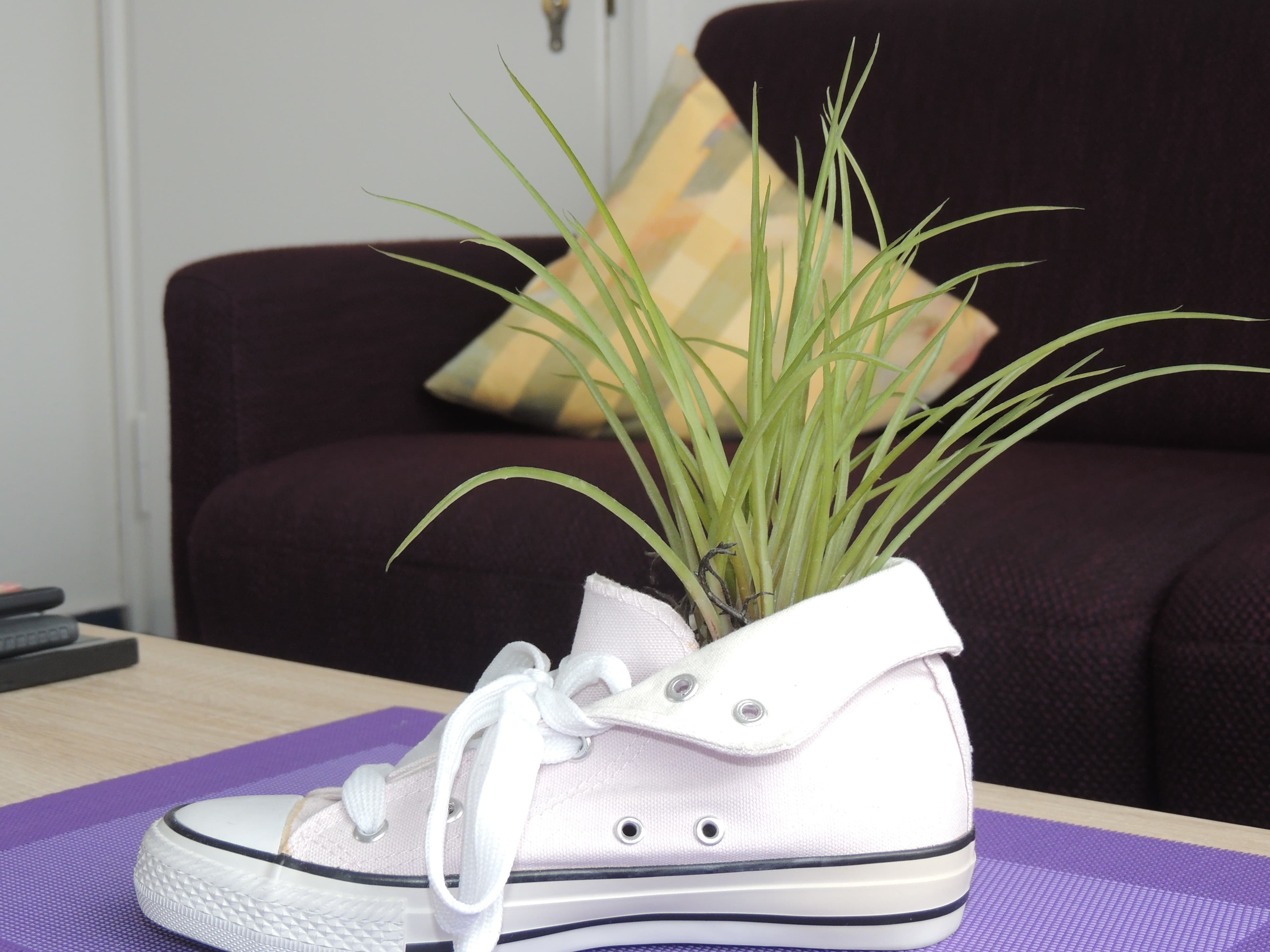 Deko des Hotels Stadt Munster in Munster