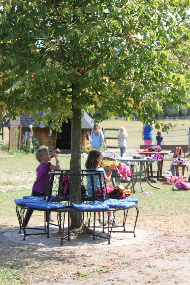 Baumbank auf der Kleinen Farm und Co in Tostedt